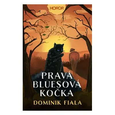 Pravá bluesová kočka - Dominik Fiala