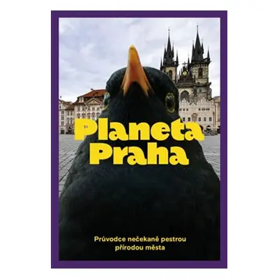 Planeta Praha - Jan Albert Šturma, Ondřej Sedláček, Petr Šípek, David Storch