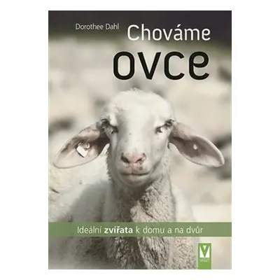 Chováme ovce - Dorothee Dahl