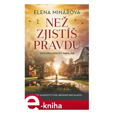 Než zjistíš pravdu - Elena Minářová