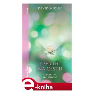 Osvícení na cestu - David Michie