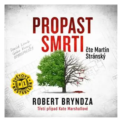 Propast smrti - Robert Bryndza