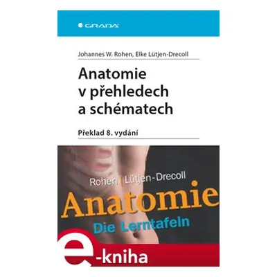 Anatomie v přehledech a schématech - Johannes W. Rohen, Elke Lütjen-Drecoll