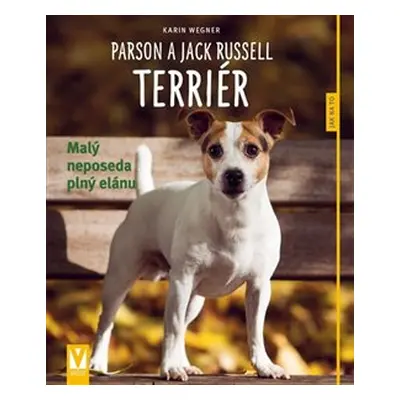 Parson a Jack Russell Terriér - Karin Wegner