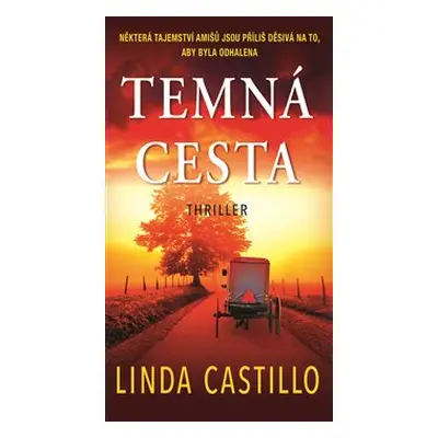 Temná cesta - Linda Castillo