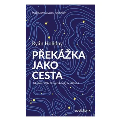 Překážka jako cesta - Ryan Holiday