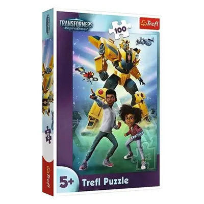 Puzzle - Transformers