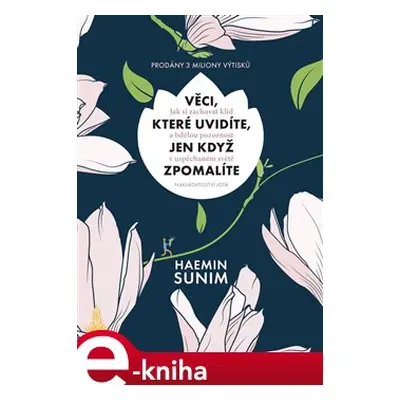 Věci, které uvidíte, jen když zpomalíte - Haemin Sunim