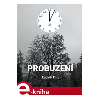 Probuzení - Ludvík Filip