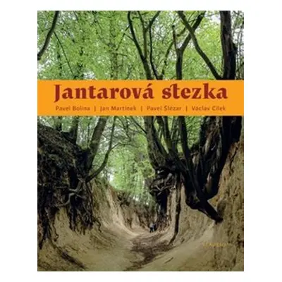 Jantarová stezka - Václav Cílek, Pavel Bolina, Jan Martínek, Pavel Šlézar