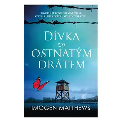 Dívka za ostnatým drátem - Matthews Imogen