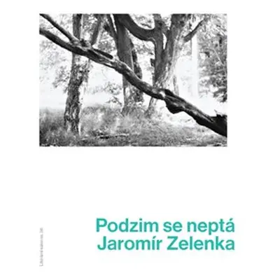 Podzim se neptá - Jaromír Zelenka