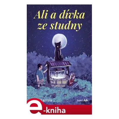 Ali a dívka ze studny - Bohumil Krejza