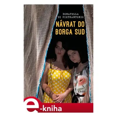 Návrat do Borga Sud - Donatella Di Pietrantonio