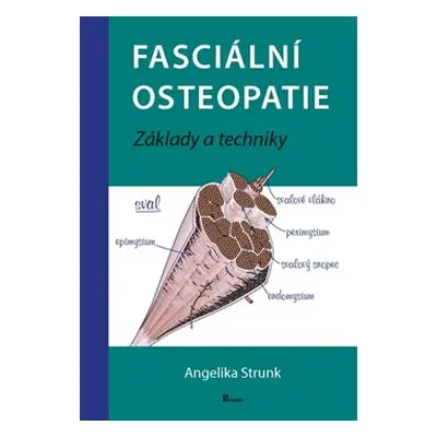 Fasciální osteopatie - Angelika Stunk