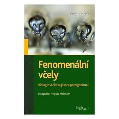 Fenomenální včely - Jürgen Tautz