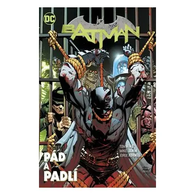 Batman 11: Pád a padlí - Tom King