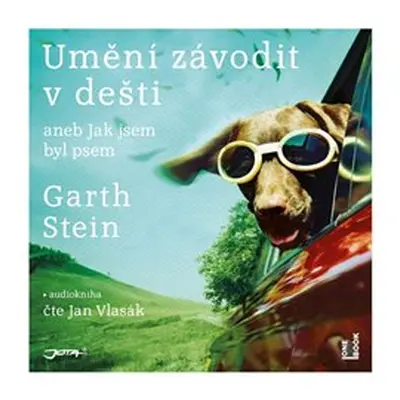 Umění závodit v dešti - Garth Stein