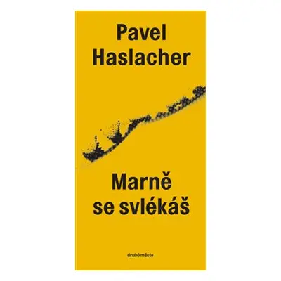 Marně se svlékáš - Pavel Haslacher