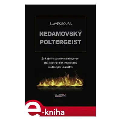 Nedamovský poltergeist - Slávek Boura