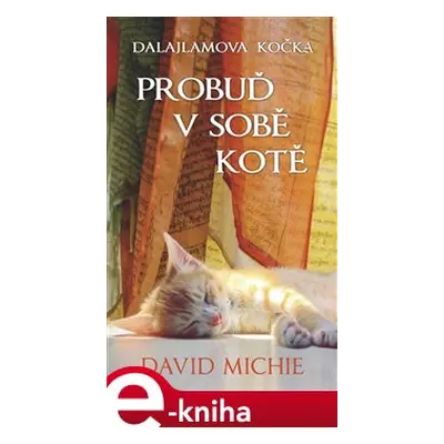 Dalajlamova kočka - Probuď v sobě kotě - David Michie