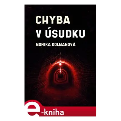 Chyba v úsudku - Monika Kolmanová