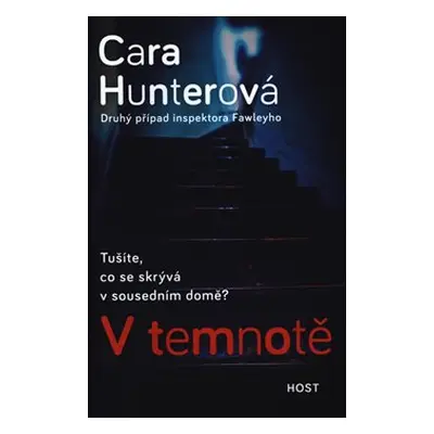 V temnotě - Cara Hunterová