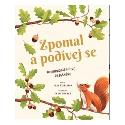 Zpomal a podívej se - Carl Wilkinson