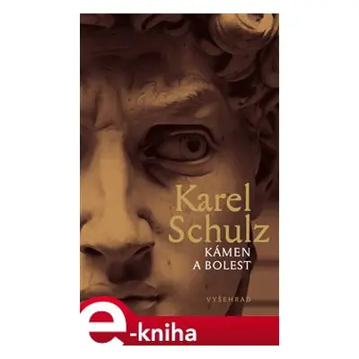 Kámen a bolest - Karel Schulz