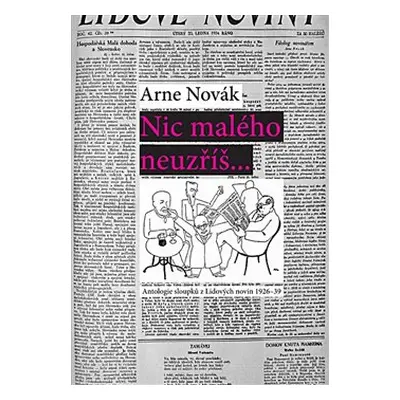 Nic malého neuzříš... Antologie sloupků z Lidových novin 1926-39 - Arne Novák