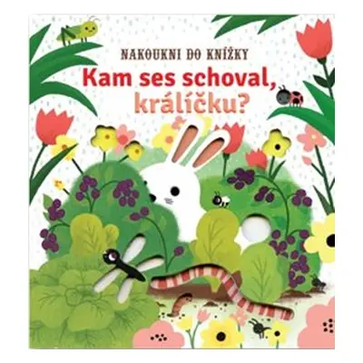 Kam ses schoval, králíčku? - Sam Taplin