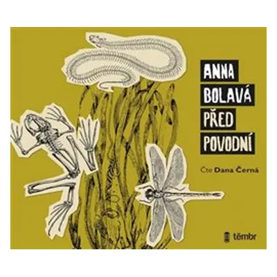 Před povodní - Anna Bolavá