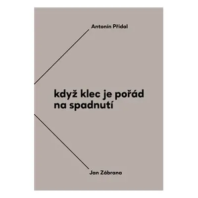 Když klec je pořád na spadnutí - Antonín Přidal, Jan Zábrana