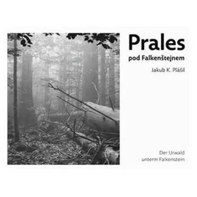 Prales pod Falkenštejnem / Der Urwald unterm Falkenstein - Jakub Kopecký Plášil