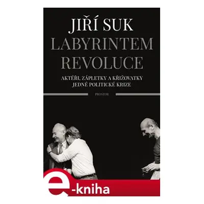 Labyrintem revoluce - Jiří Suk