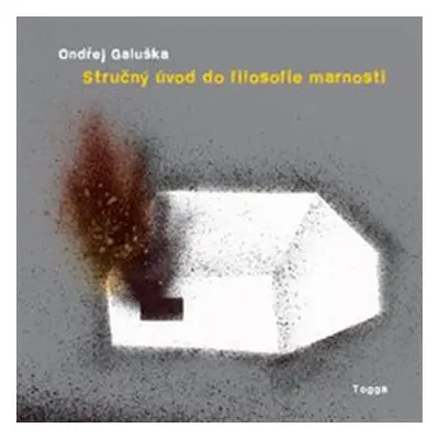 Stručný úvod do filosofie marnosti - Ondřej Galuška