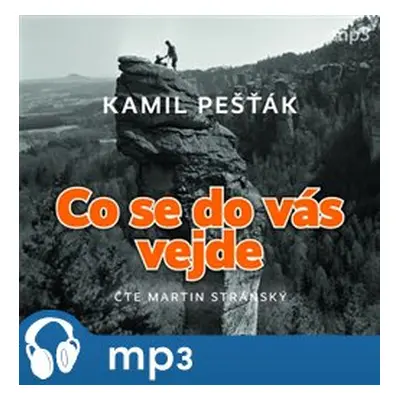 Co se do vás vejde, mp3 - Kamil Pešťák