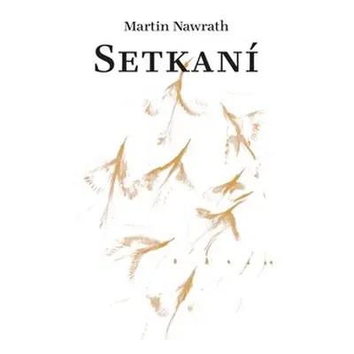 Setkaní - Martin Nawrath