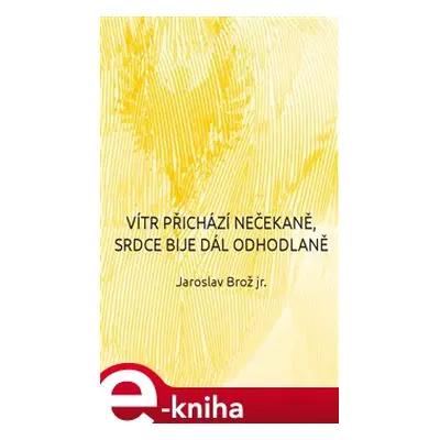 Vítr přichází nečekaně, srdce bije dál odhodlaně - Jaroslav Brož