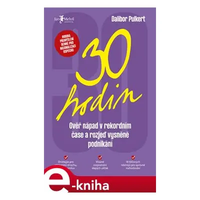 30 hodin - Dalibor Pulkert