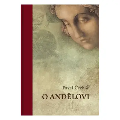 O andělovi - Pavel Čech