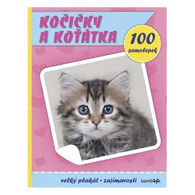 Kočičky a koťátka - kolektiv autorů