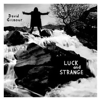 Luck and Strange - David Gilmour