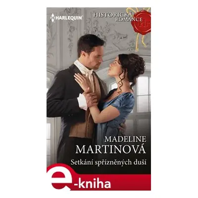 Setkání spřízněných duší - Madeline Martinová