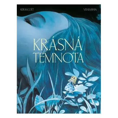 Krásná temnota - Fabien Vehlmann