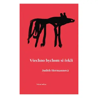 Všechno bychom si řekli - Judith Hermannová