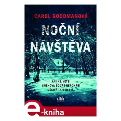 Noční návštěva - Caroll Goodman