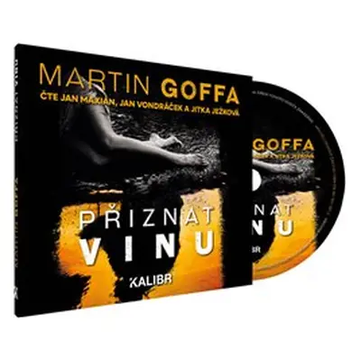 Přiznat vinu - Goffa Martin