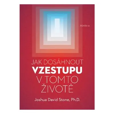 Jak dosáhnout vzestupu v tomto životě - Joshua David Stone