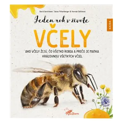 Jeden rok v živote včely - David Gerstmeier, Hannah Götteová, Tobias Miltenberger